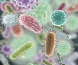 Common Contaminants in Well Water 